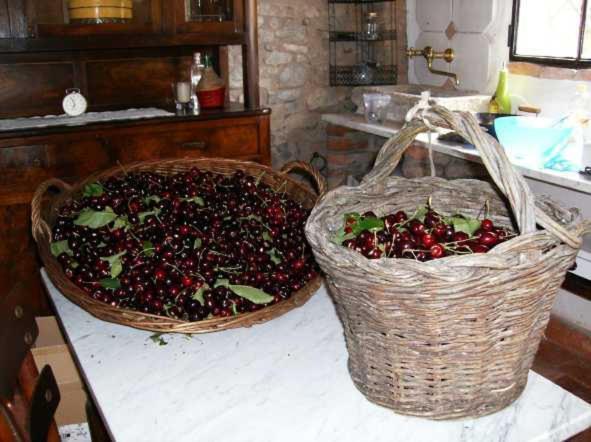 Cascina La Buca Guest House Castello di Serravalle Ngoại thất bức ảnh